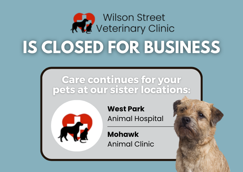 Carousel Slide 1: Learn More >>