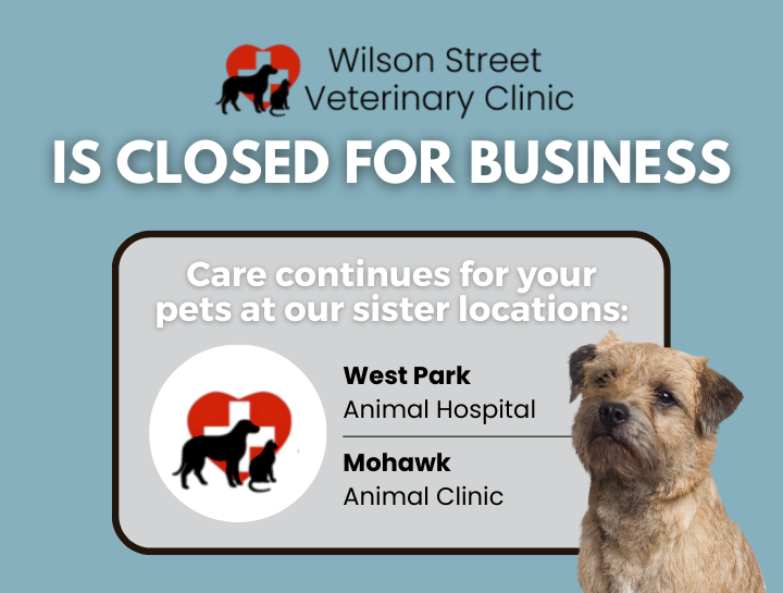 Wilson Street Veterinary Clinic has now permanently closed.